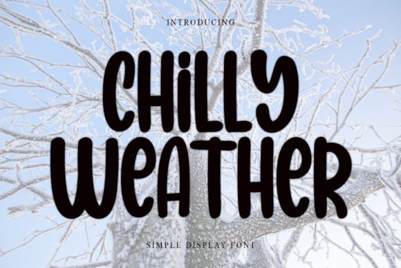 Chilly Weather: A Magical Script Font Review