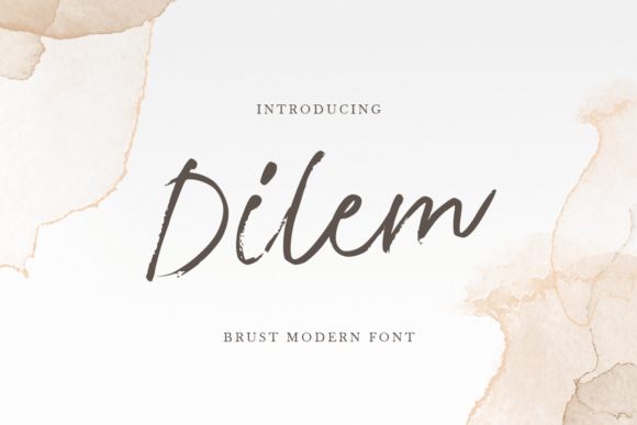 Dilem: An Elegant Script Font for Editorial Design