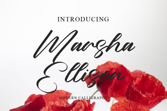 Marsha Ellison: A Script Font for Editorial Elegance