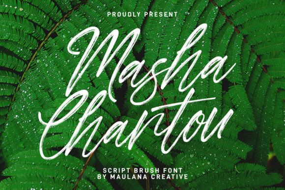 Masha Chantou: A Premium Script Font Review