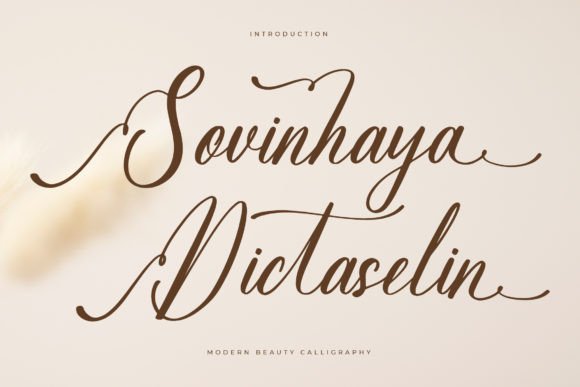 Sovinhaya Dictaselin: A Stylish Script Font for Brands